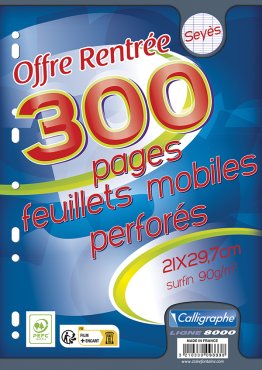 150 feuillets mobiles 21x29,7cm seyes Calligraphe